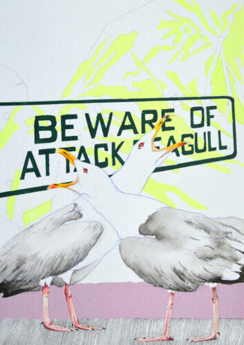 city-pets no-07Beware-of-attack-seagull
